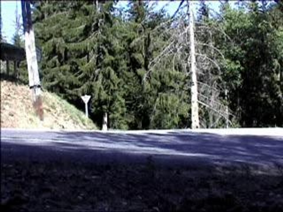 Audax, Boarder and road