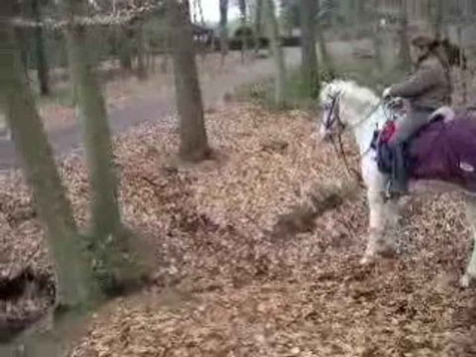 fossé de trec en selle
