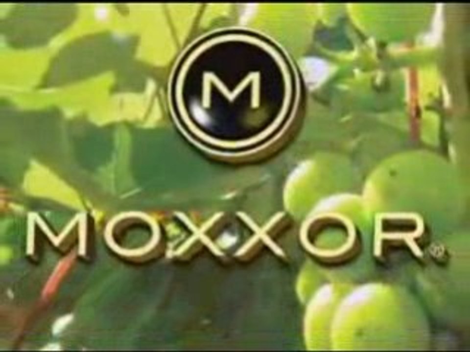 Moxxor Business Building Through Prospecting