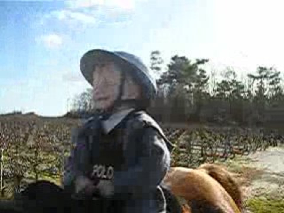 P1010163