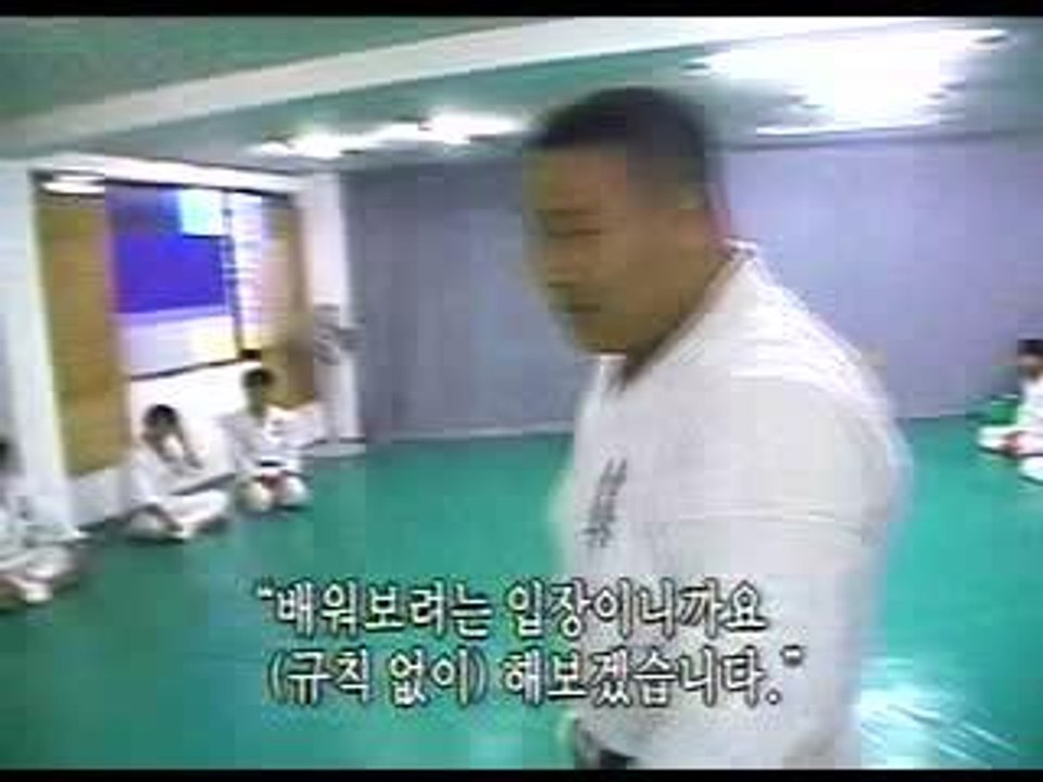 Kyokushinkaï vs Hapkido