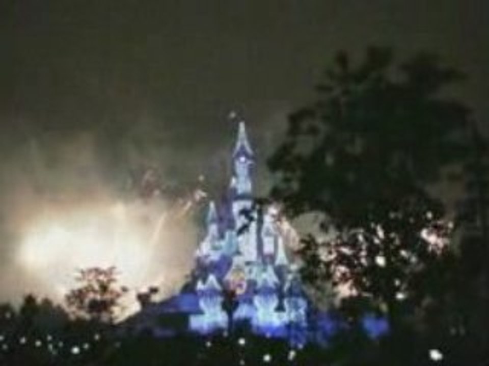 DLRP - FEUX DE LA ST SYLVESTRE 08/09