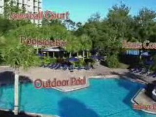 Orlando Airport Marriott Hotel Business Transient