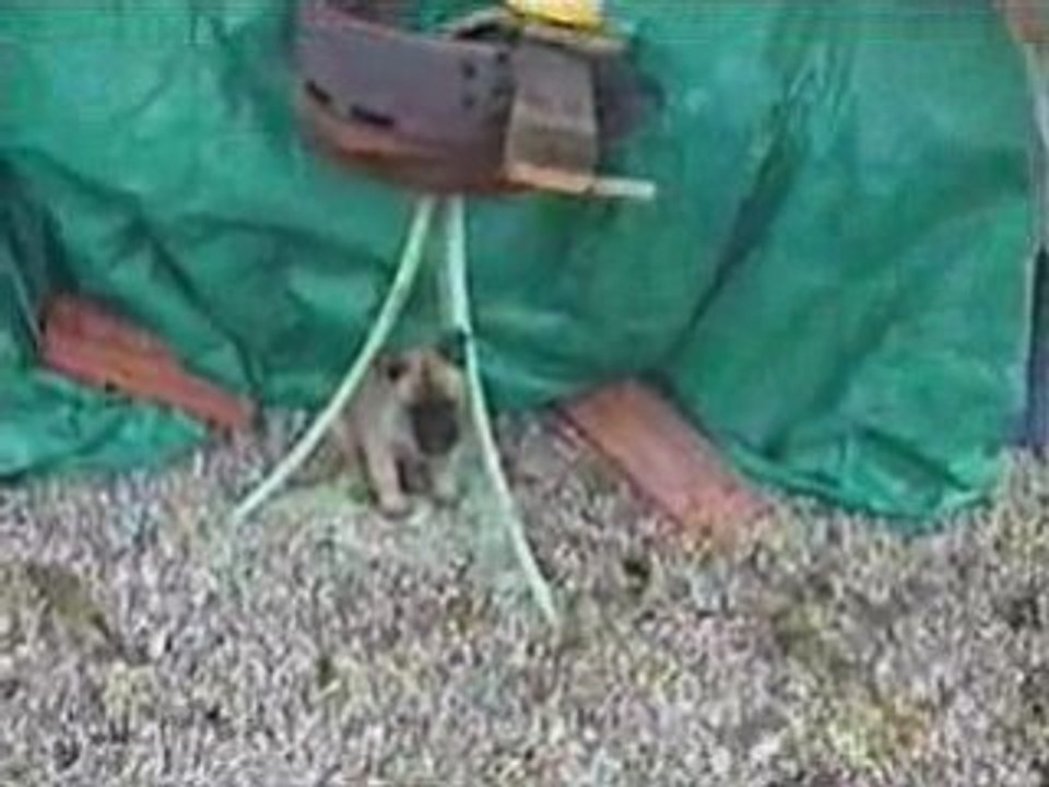 Cannelle_20090112