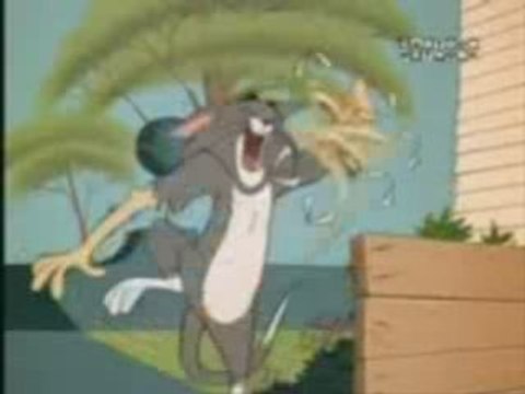 Том И Джери - Пародия Да Преебем Котката.3gp Vbox7