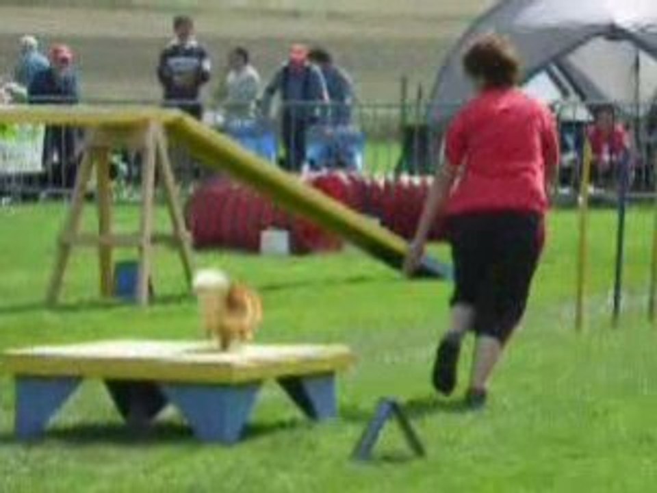 DSCN0006