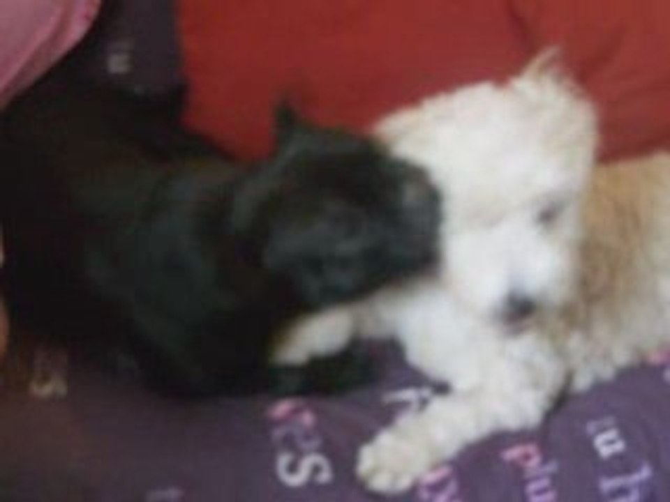 lady en video