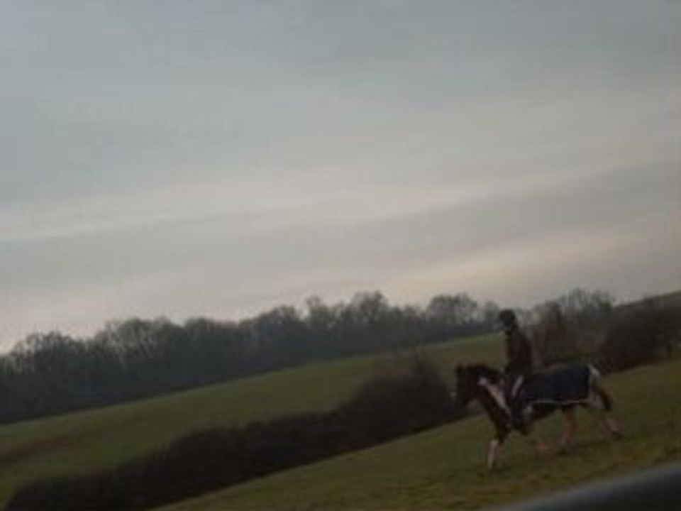 1ère Partie Séance de dressage du 4-02-09