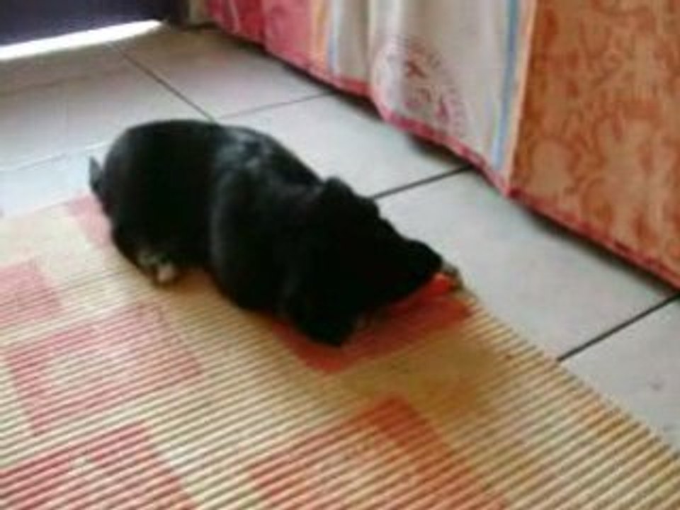 negrita de chica
