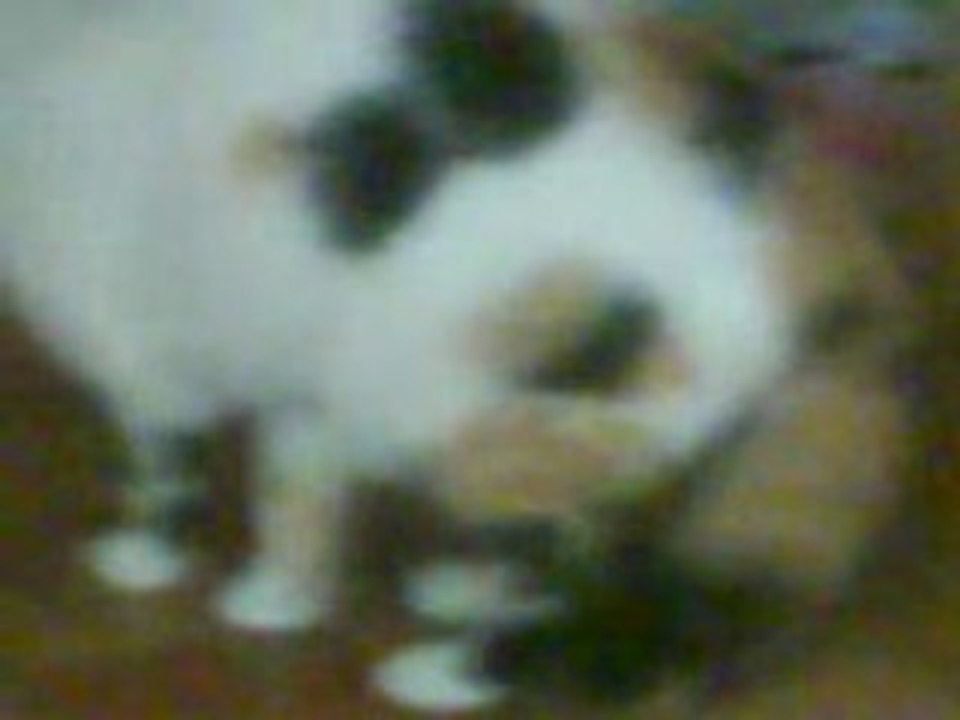 MOV01254