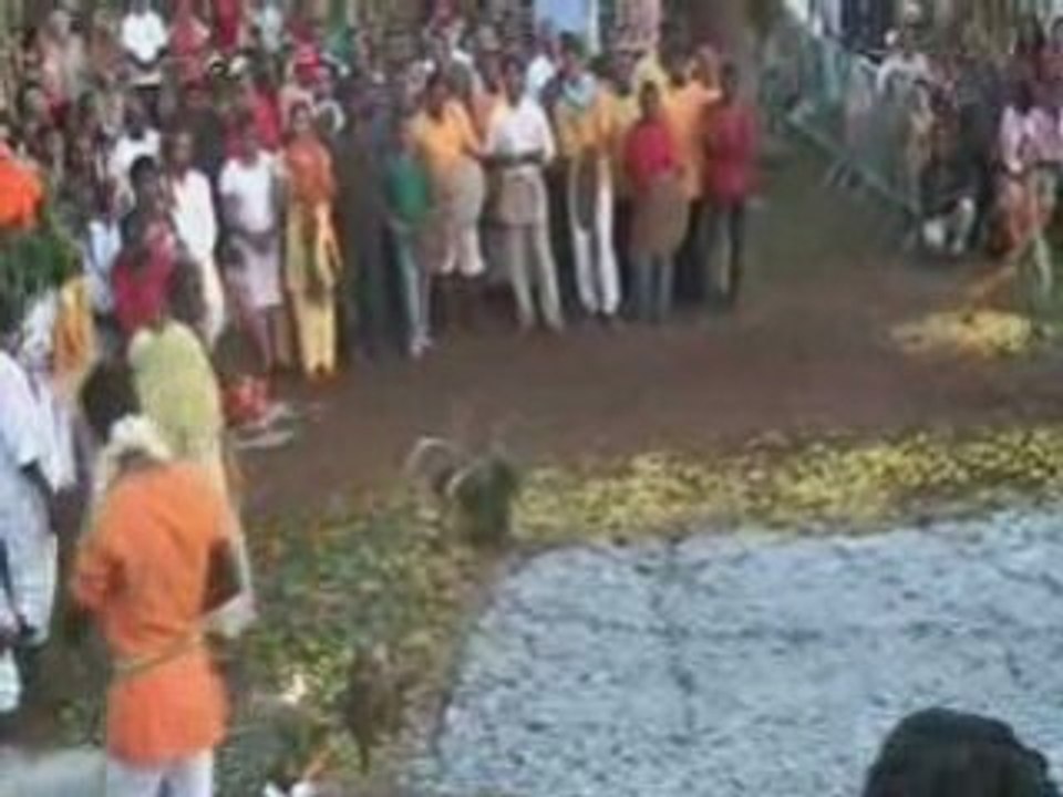 Marche sur le feu le 11/01/09  Terre-Sainte  St Pierre.