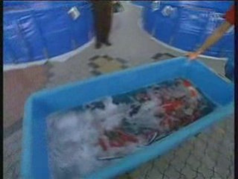 Le Pays du Poisson, L'empire des "Sushi" (Partie 3)