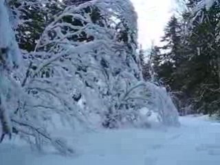 Le Falgoux : décor blanc