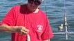 Lake Erie perch fishing  Monroe, MI aboard the Stray Cat
