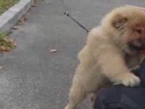 SSTC meeting tuning 2008 part5