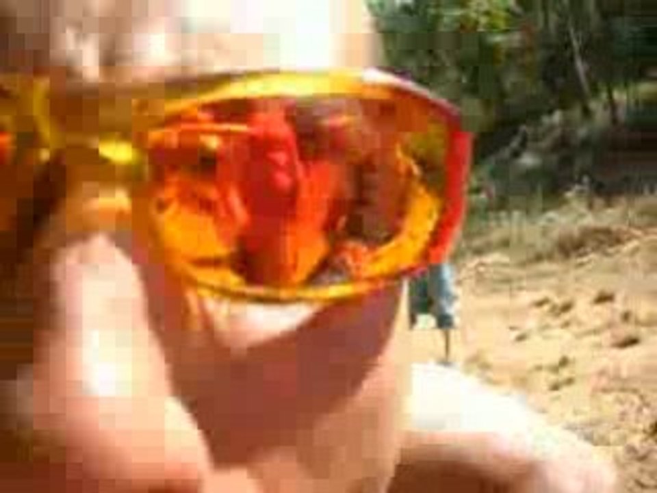 teuf oraison 28.07.07 happy family shep??