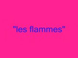 2009-01-22 Les flammes photos