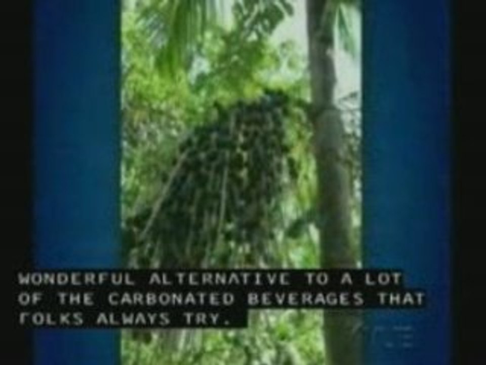 Acai-aSlim Acai Berry Weight-Loss