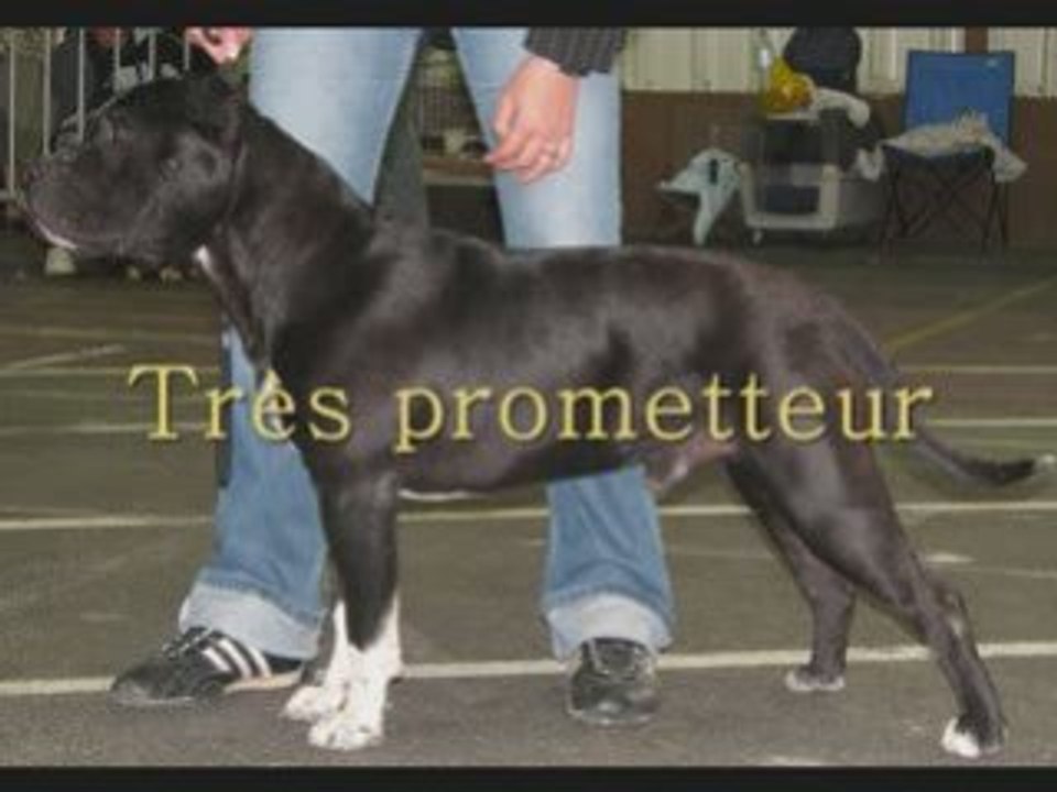 Expos 2007