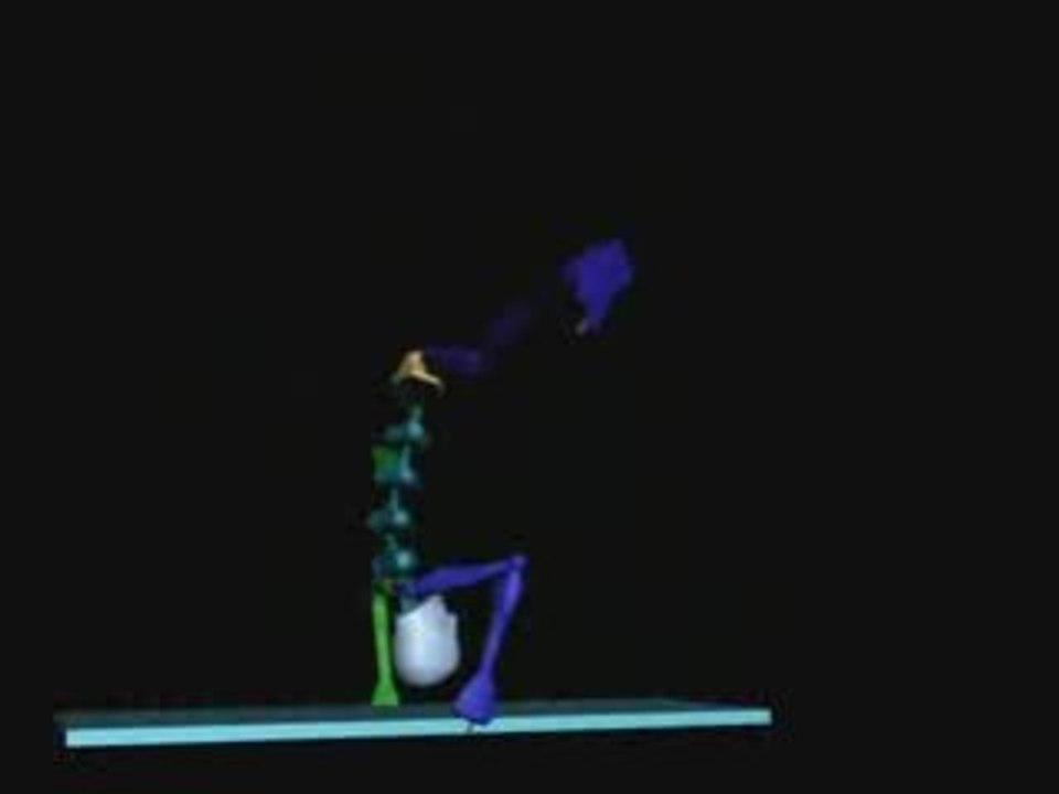 Animation 3D OverBoard : La toupie Jeremy HUART Lisaa 2009