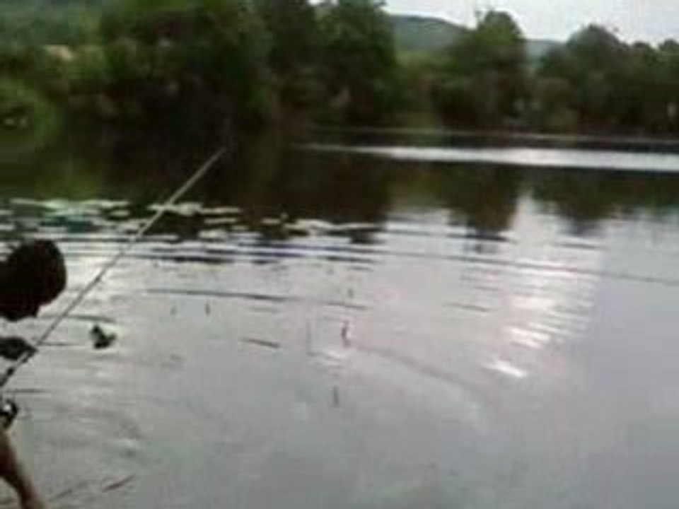 lance de canne