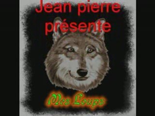 Mes loups