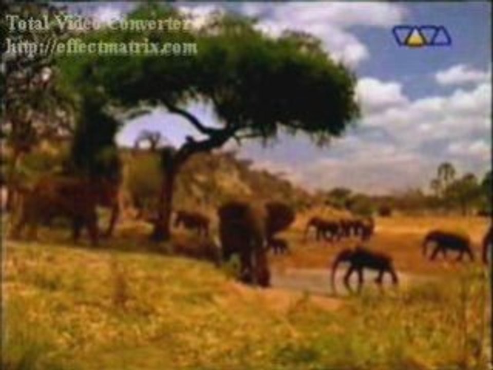 Terre mere nest pas a vendre