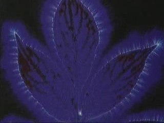 The secret KGB Paranormal files 4