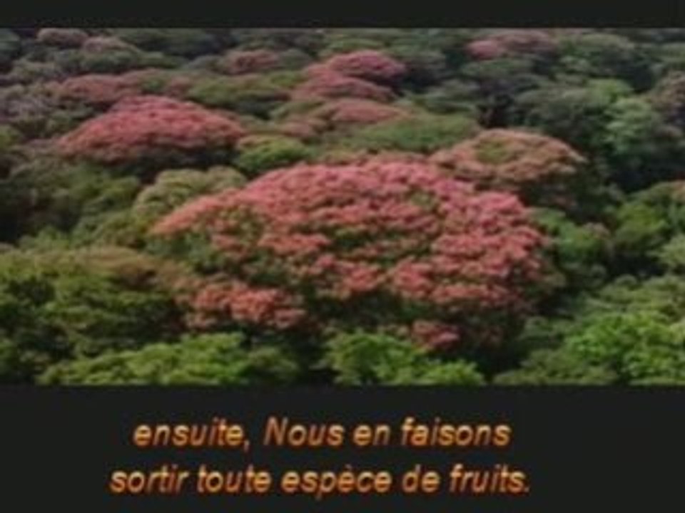 Islam - Qui sème l'injustice récolte la tempête