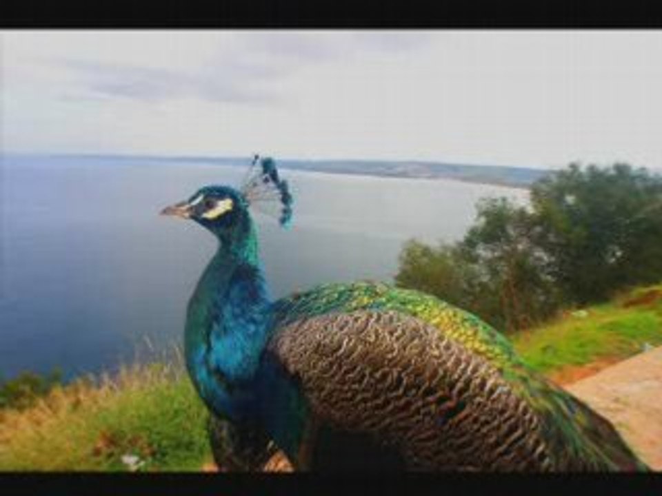 Algérie la Magnifique !!!