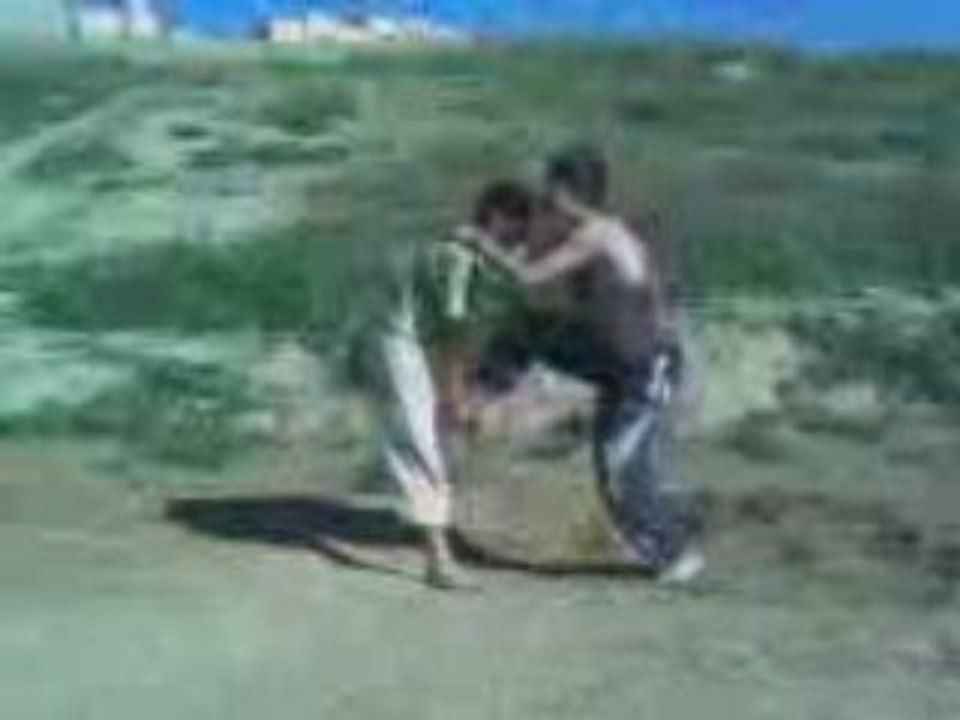 salt hicham