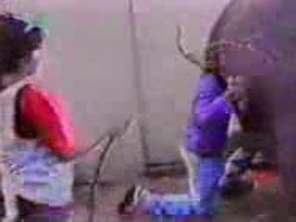 Zookeeper