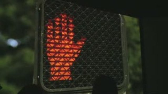 Terre Natale Fondation Cartier