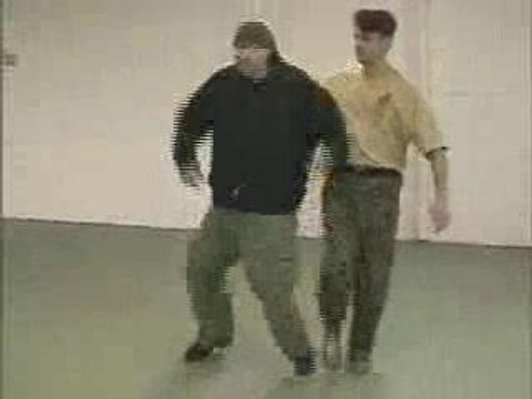 Self-défense Systema