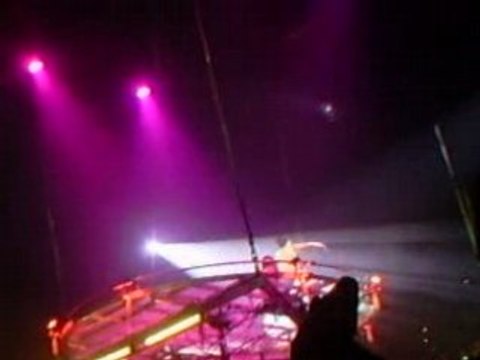 Chris Brown En concert au Dôme de Marseille 20/01/2009