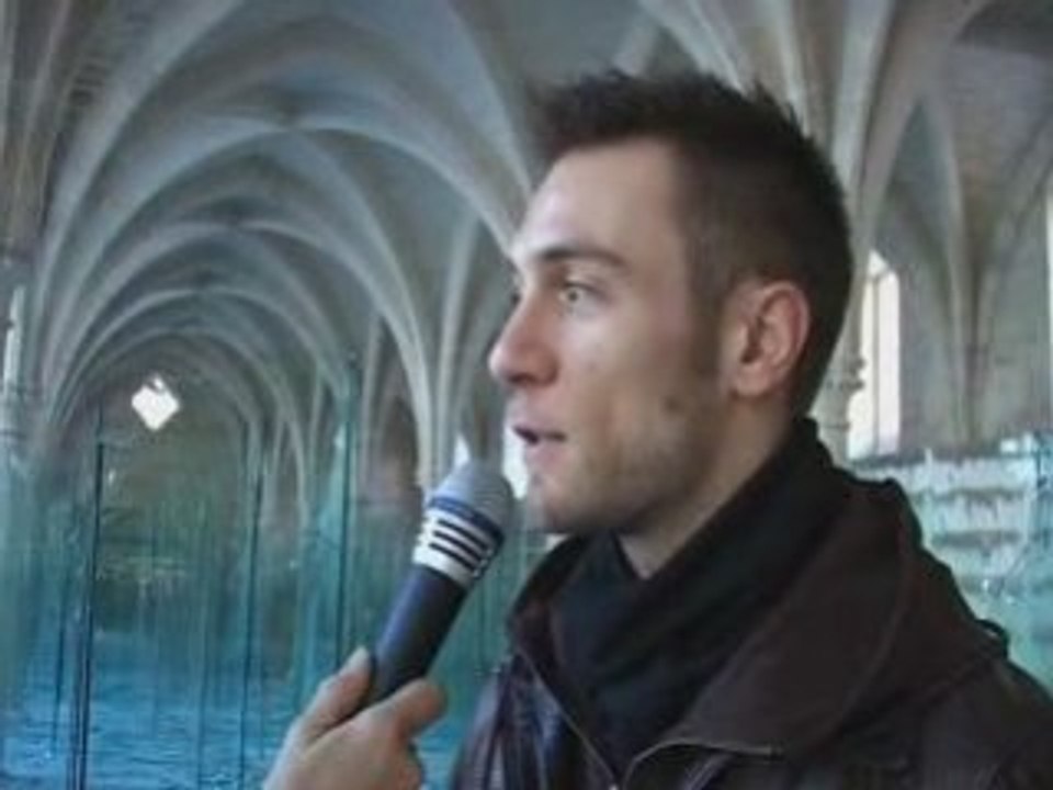 Reactions-expo-parmiggiani