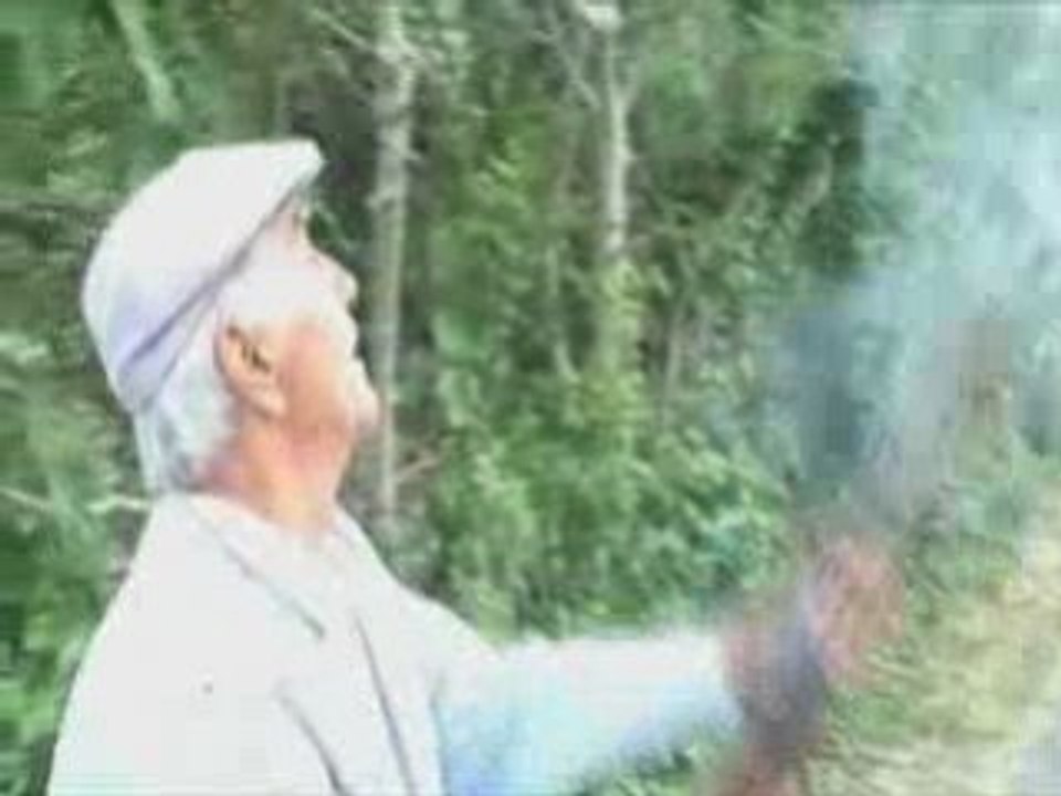 Charivari au son des tromblons - Varages 2006