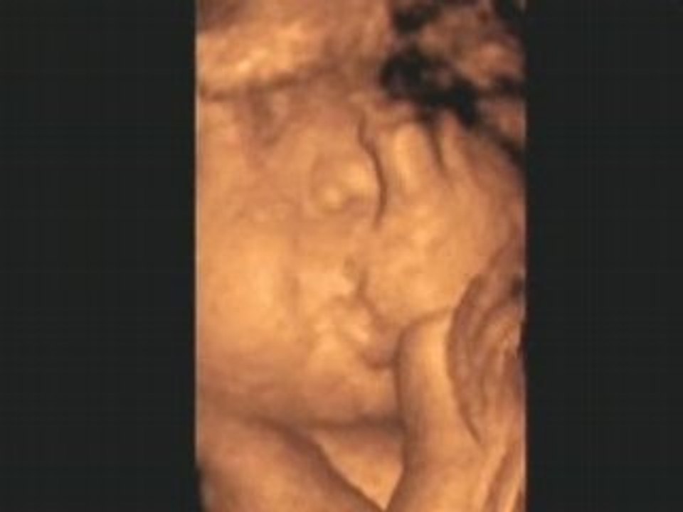 Le monde selon bébé : les sensations du monde