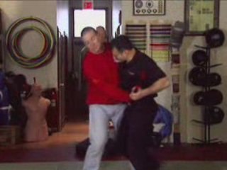 The Self Defense Training System . Module Eight Preview