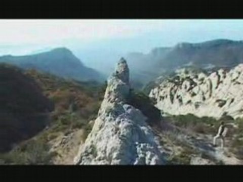 Idée de balade: le Plan des Vaches (la Sainte-Baume - 13)