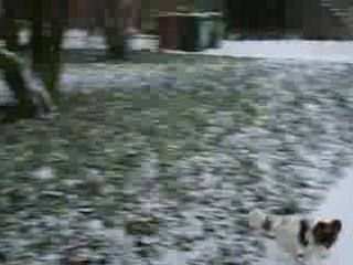 La neige s'est marrant !