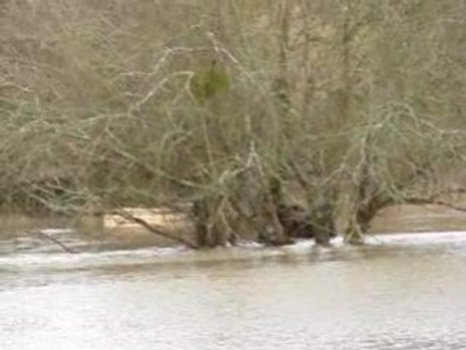 Rox dans l'eau...