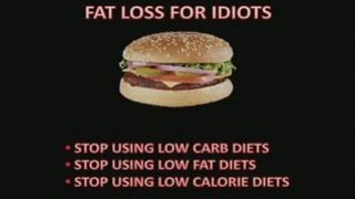 Fat Loss For Idiots, Quick Fat Loss Now,Start Fat Loss Now
