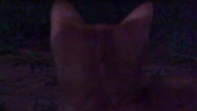 Justin in action.! GATITO DE JUAN 2