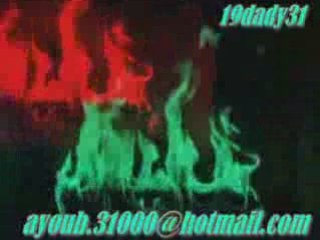 cocktail marocain cheb anouar