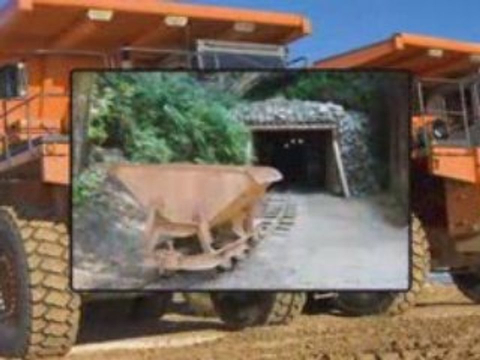 buy a gold mine, buy goldmine, sell a gold mine