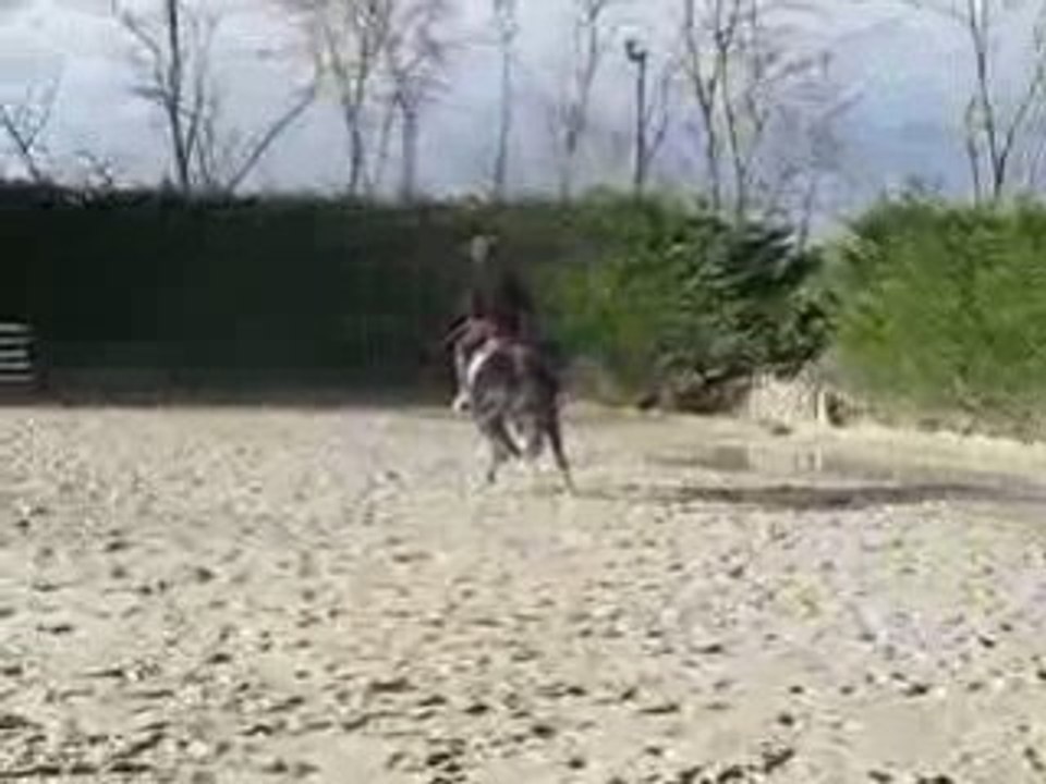 Maud Saut n°1