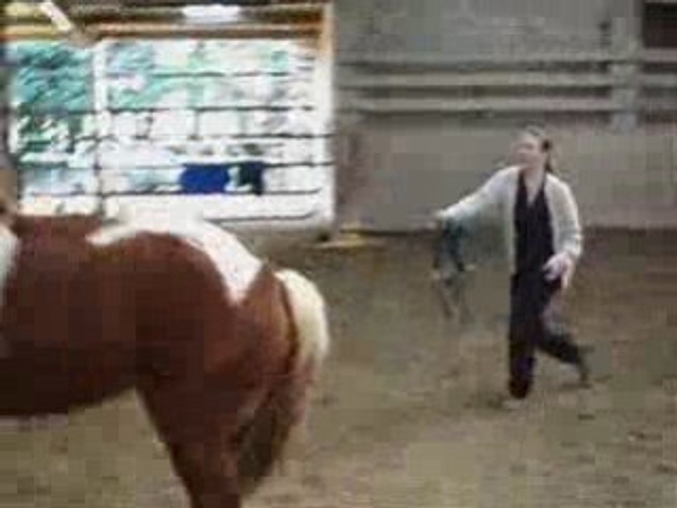 Reve - Montage - Progres travail en longe