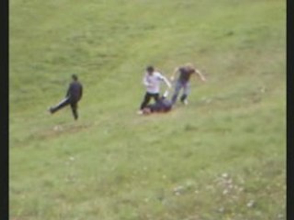 How to dismantle a skunk