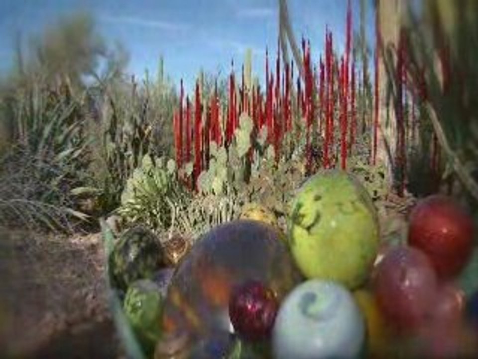 Chihuly: The nature of glass